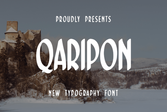 Elevate Web Design with the Qaripon Sans Serif Typeface