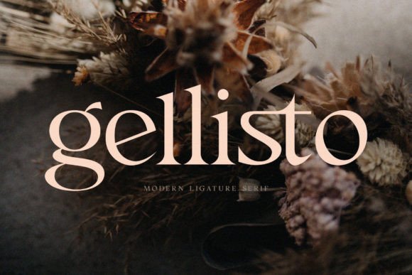 Gellisto: A Modern Sans Serif Typeface for Elegant Branding