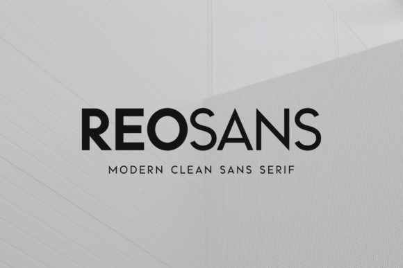 Reo Sans: The Modern Typeface for Small Business Branding