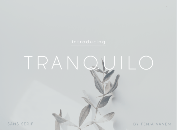 Tranquilo: The Minimalist Font for Modern Branding
